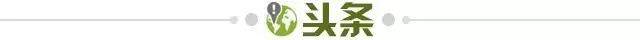 1735576496303004021.jpg 头条.jpg